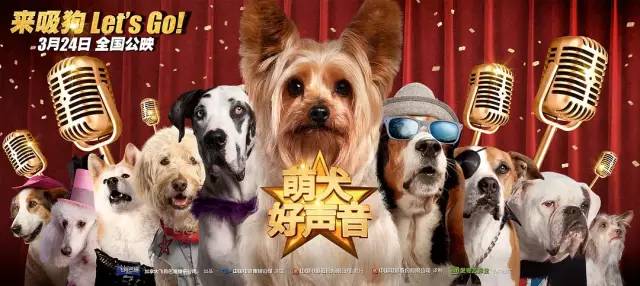 萌犬好声音 不是狗狗不好 而是 拟人化 太尴尬