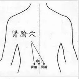 人体阳气的根在肾,而腰为肾之府,肾阳虚时会腰部酸软怕冷,精神容易