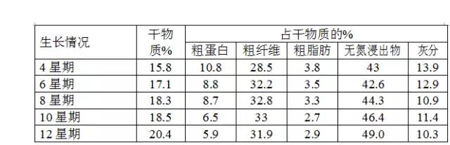 巨菌草的营养成分与用途