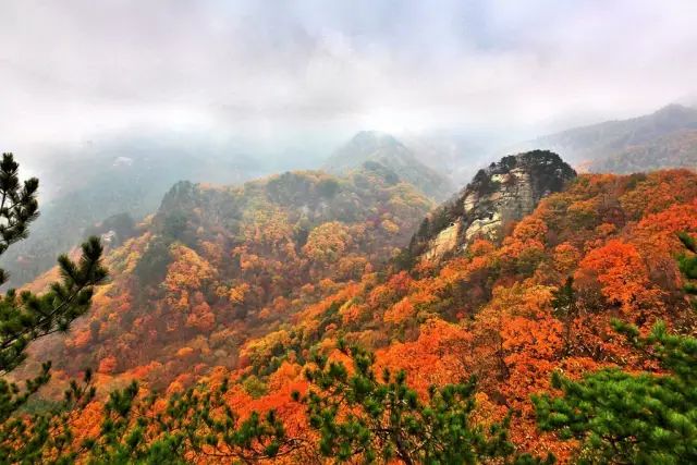 皇封悬龙的启运山,云蒸霞蔚的烟筒山,辽宁屋脊的岗山为代表;人文景观