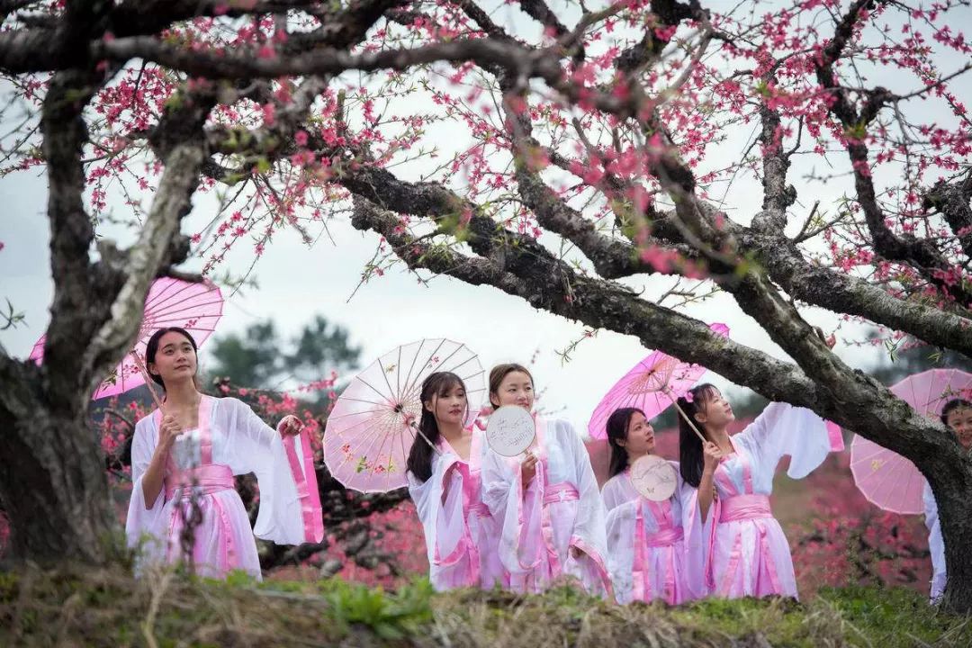 【热点】不收门票!2018嵩县陆浑桃花节!大美嵩县欢迎