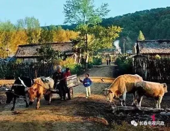 描写50年代初的东北农村