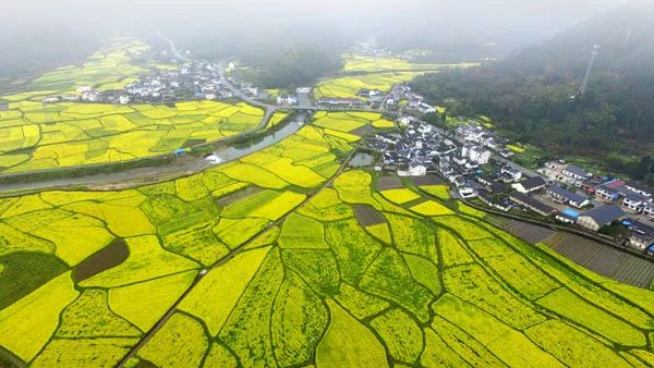 石台县多少人口_石台县(2)