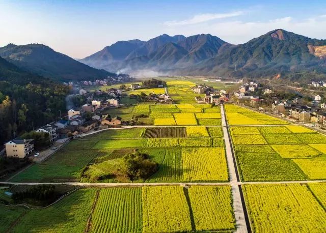 金色的世界 "春光黄南 文化小梅"2018年龙泉市乡村漫游节(小梅站)在