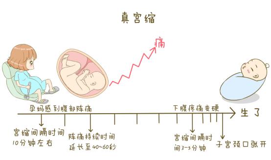 破水,宫缩,开宫口……5张图将分娩全程给准妈妈们看个明白!