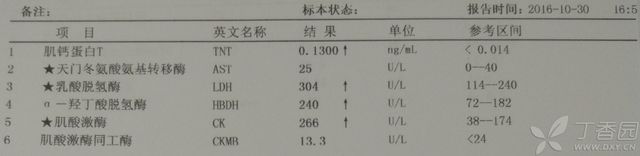 心肌酶 肌钙蛋白