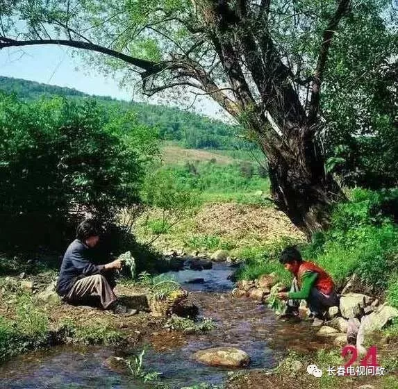 描写50年代初的东北农村