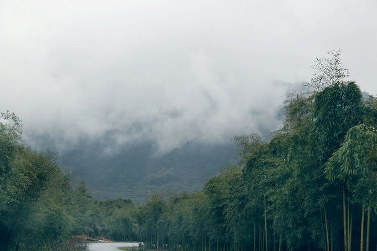 入春 气候温暖湿润,充沛的雨水滋养泥土下的生灵.