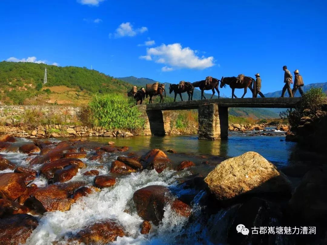 活动时间:展会期间 活动地点:漕涧镇人民政府政务大厅 活动内容:集中