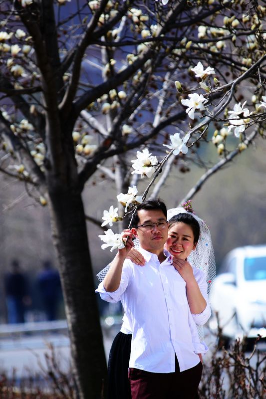 大学生回校园拍婚纱照_拍婚纱照白背景有回影(3)