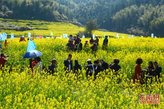 当天,宁德市蕉城区石后乡小岭村首届油菜花文化旅游节开幕.