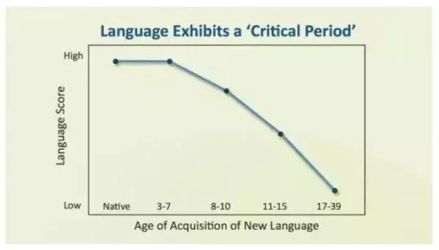 研究还发现,0~7岁是语言学习的关键期,7岁后语言学习的效率开始急剧