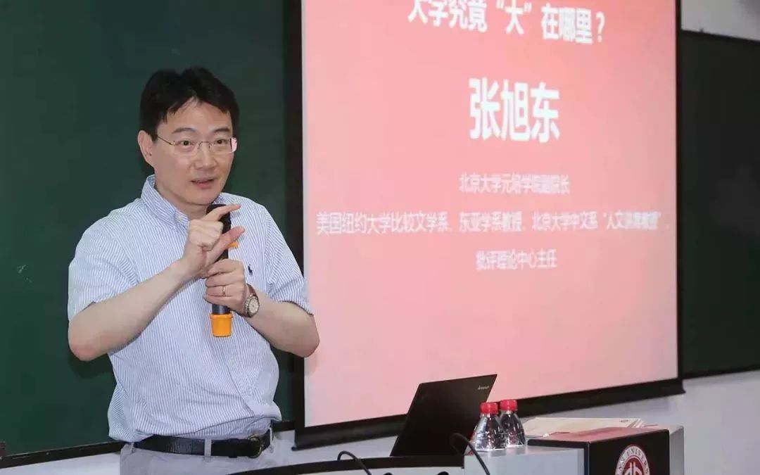 元培学院副院长张旭东教授与鲁维思教授相识多年,双方就共同的学术