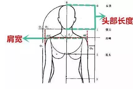 标准,圆圆解真是三天三夜也说不完呀~比如胸围,腰围都有一个黄金比