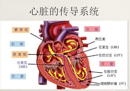 心电图异常怎么办