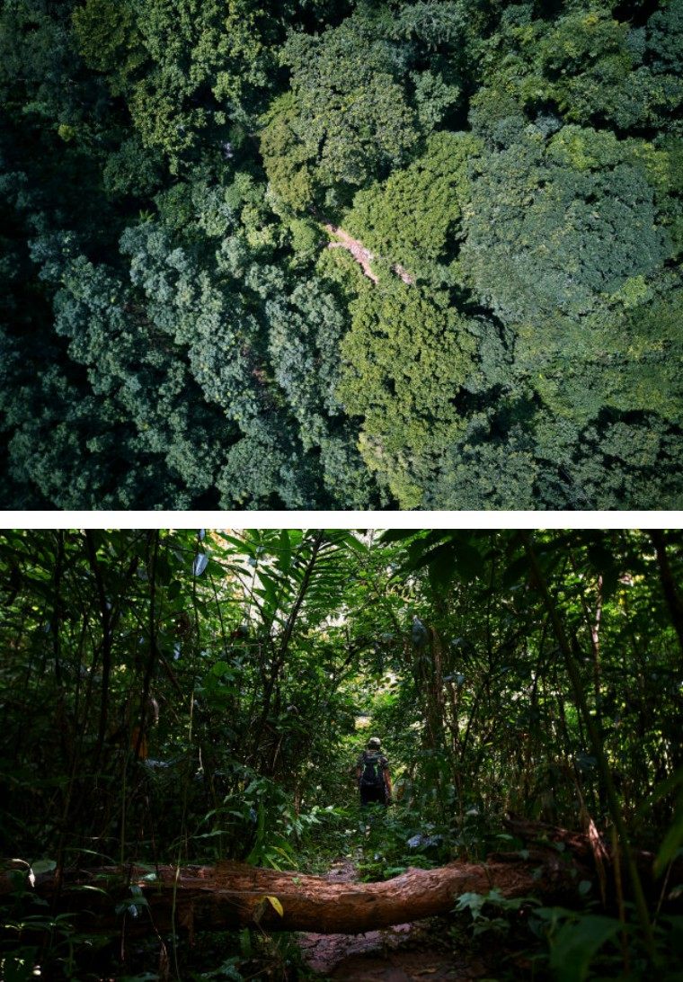 无人谷,是一条长20余里的原始地貌热带雨林峡谷,该峡谷地处深山,未经