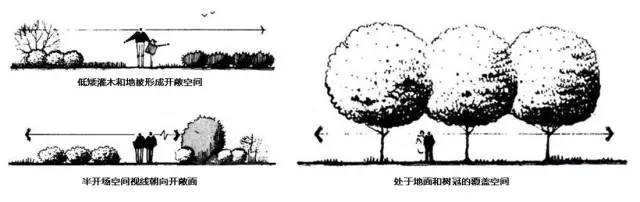 完全封闭空间:与覆盖空间相似,但空间的四周被中小型植物封闭,常见于