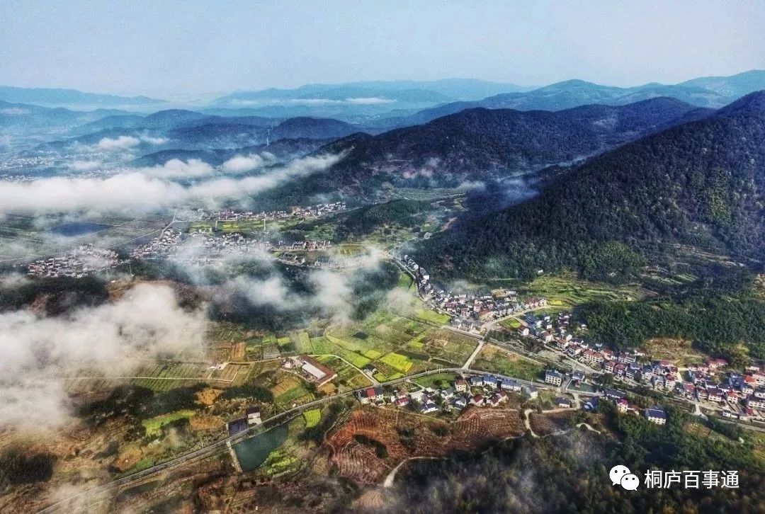 美翻了!桐庐阳山畈第十届山花节今日开幕啦!