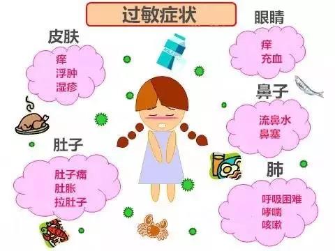 华妃燕:宝宝食物过敏与燕窝