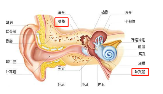 搭飞机耳朵痛怎么调节_耳朵里面痛怎么回事儿(2)