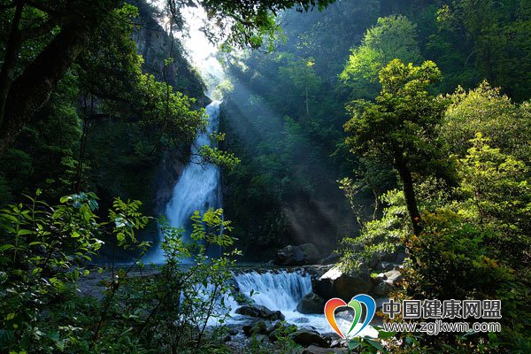 直接旅游收入_四川一季度实现林业生态旅游直接收入221亿元