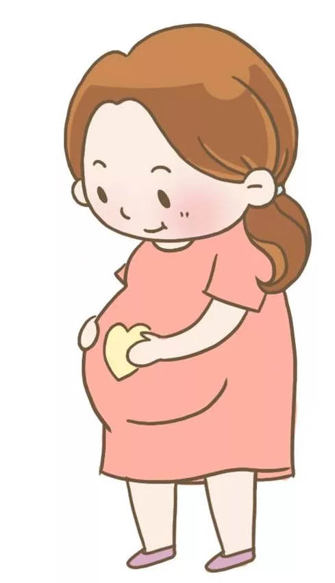 怀孕各期的标准体重增长 最理想的体重增长是在孕早期(怀孕3个月以内