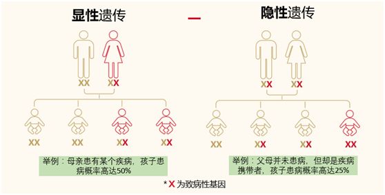 隐性遗传是指两个等位基因需要同时突变才会出现症状.