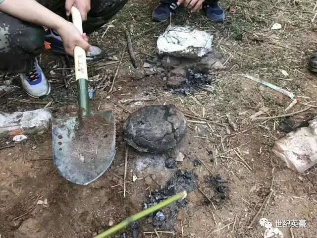 除了荒野我们还有美食,感受不一样的"吃鸡"体验!