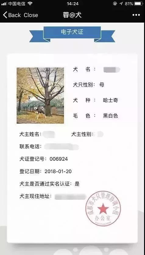 铲屎官注意成都电子犬证正式上线用手机就可以轻松办理