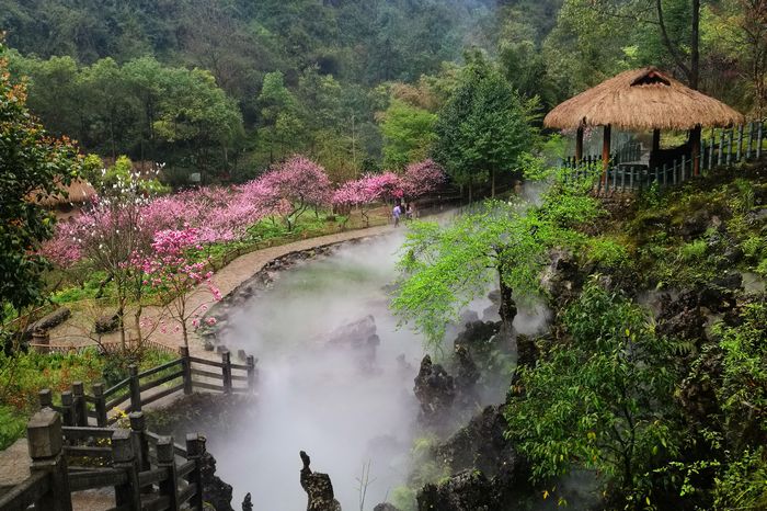 春日里,有幸和网友一同前往心仪已久的重庆"酉阳桃花源", 追随属于