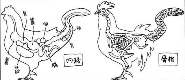 迷宫饭地下城食谱第3期の碳烤巴西立斯克