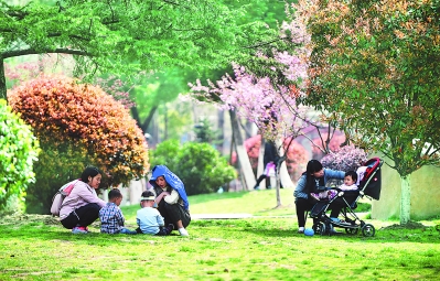 昨天,在滨湖新区的天山公园,市民带着孩子在树荫下休憩玩耍,当日最高