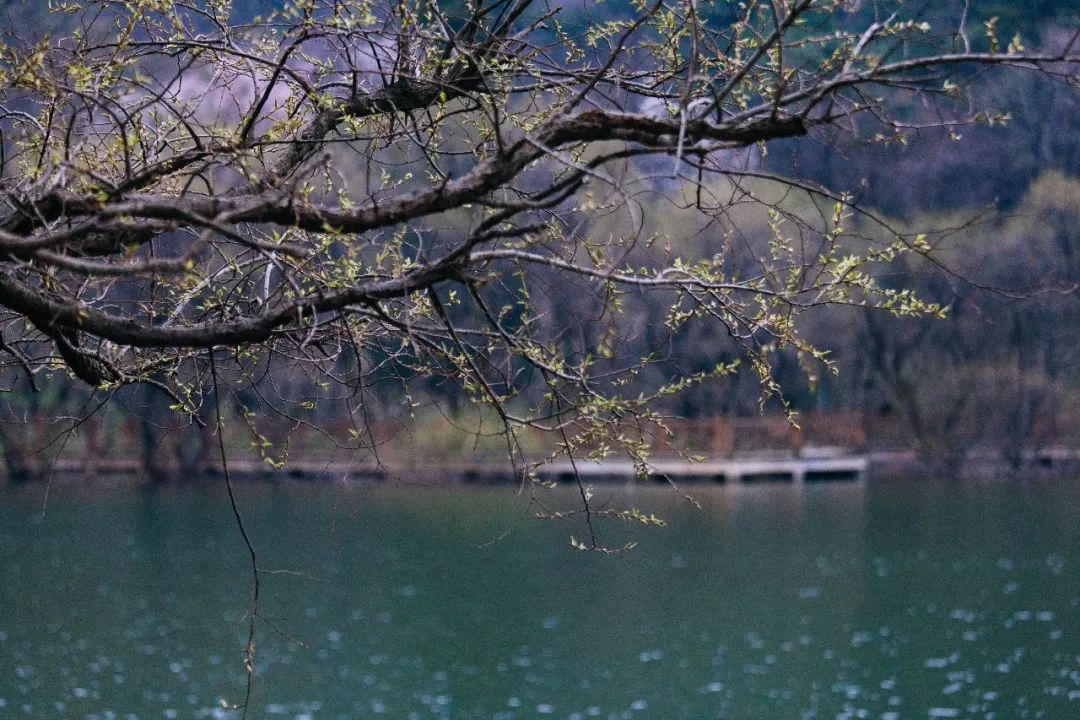 在大洪山 有一个天然泉水湖 遍寻这个池子的周围 都不见水的源头 而