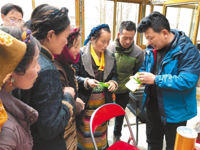 图:中国人民银行拉萨中心支行驻日喀则市南木林县土布加乡顶布村