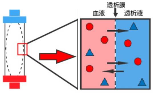 图表    透析器原理