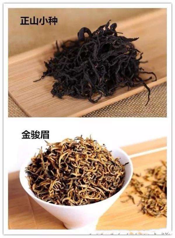 金骏眉和正山小种同是红茶, 它们的区别在哪里?