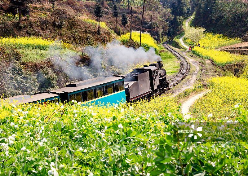 四川乐山:穿越草长莺飞的嘉阳小火车