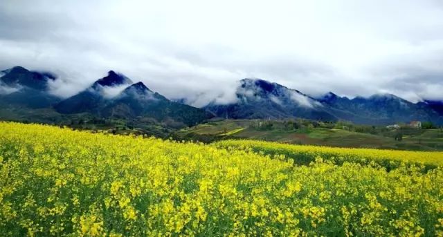 定了蓝田玉山风景名胜区管委会成立倒计时开启大玉山风景名胜区来了