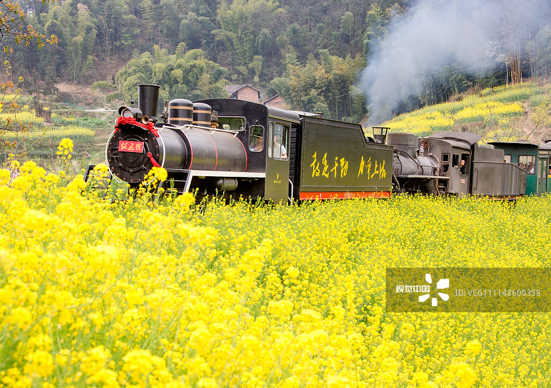 四川乐山:穿越草长莺飞的嘉阳小火车