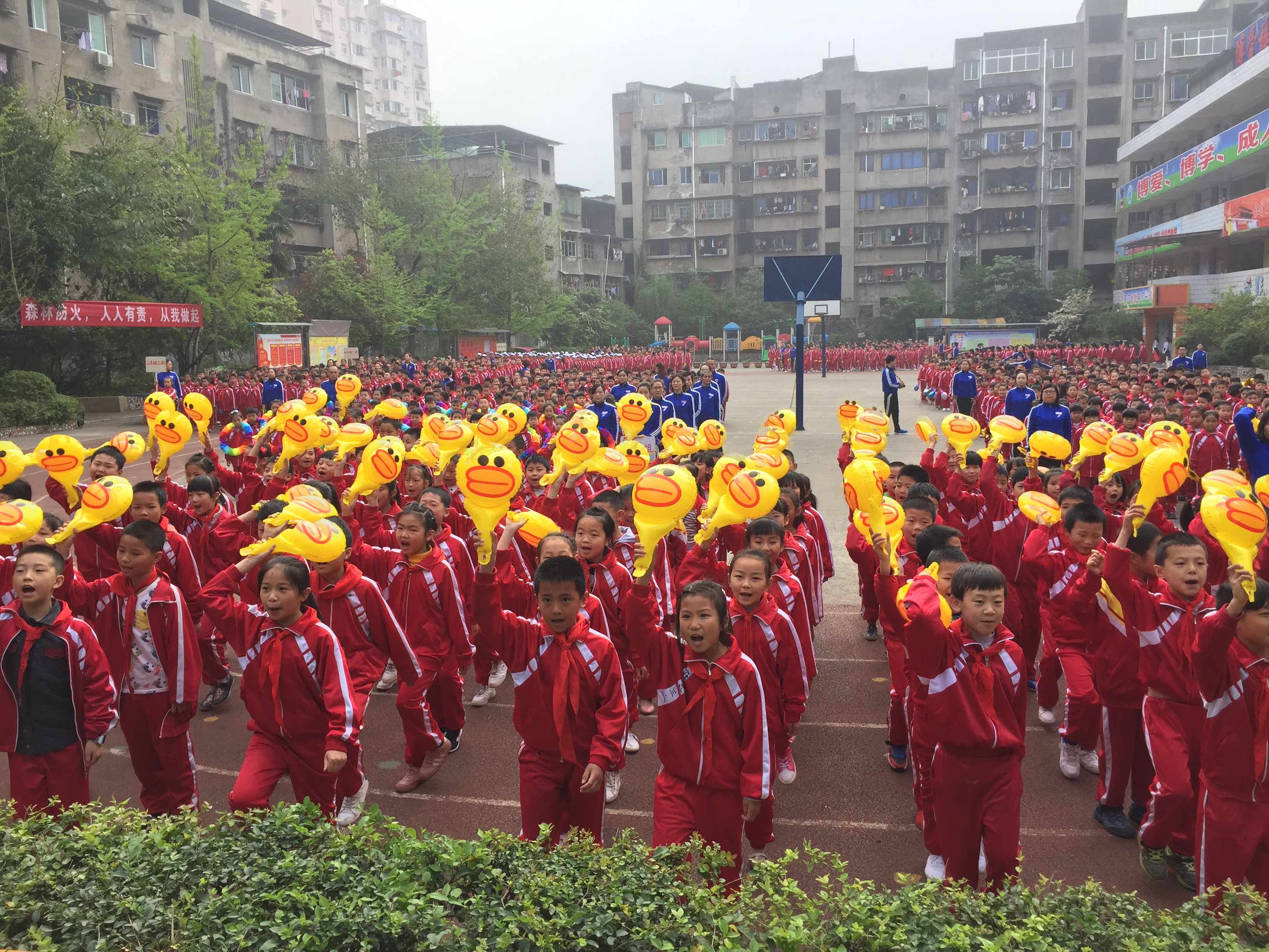 资中县新桥镇中心学校与吴仲良第五小学 开展"党建结对共建"交流活动