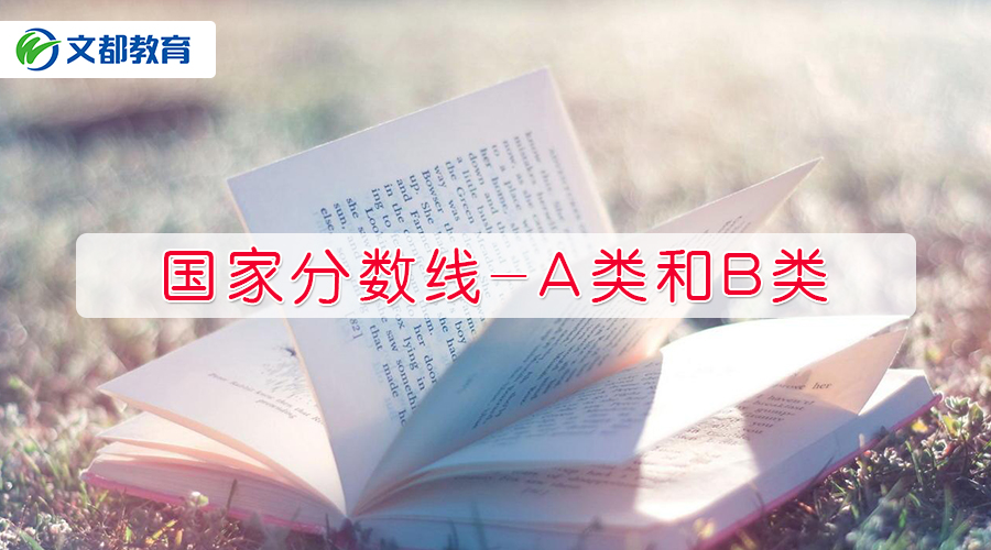 b类是什么意思