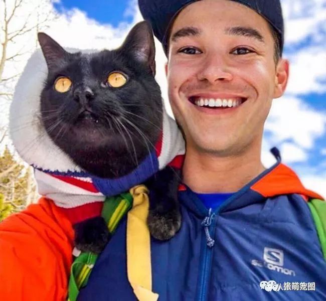 收养一只小黑猫后小哥就开始了一人一猫的旅行如今两年了还在继续