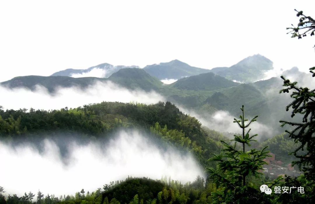 东阳市大概多少人口_东阳市人口(2)