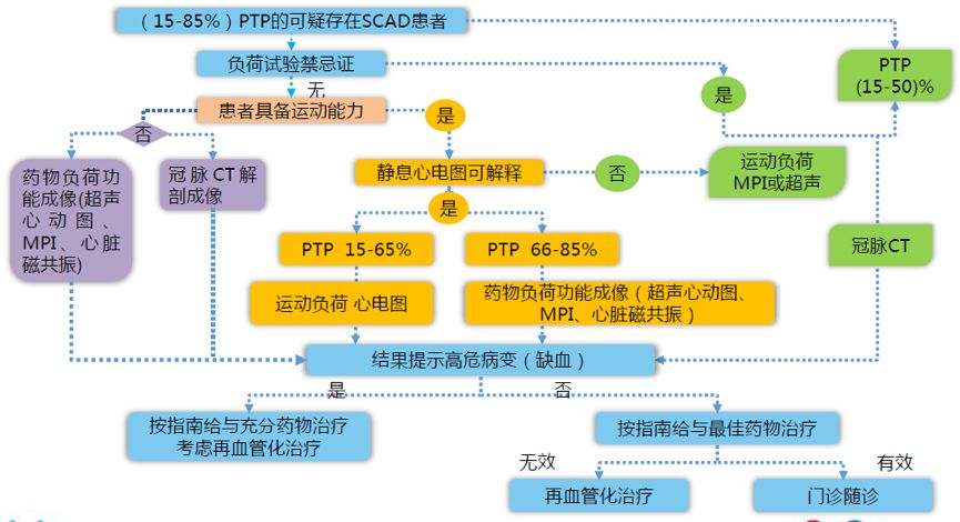 cit2018 权威发布丨英文版《稳定性冠心病无创影像检查路径的专家共识