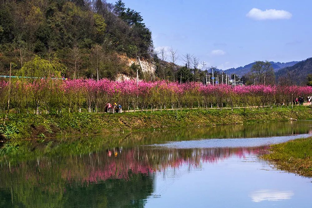 七彩部落,万花源,天下第一壶景区等 地址:湄潭县鱼泉街道桃花江畔