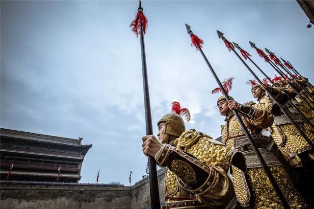 春满中国·醉西安 | 三月花香透长安,满城尽带黄金甲