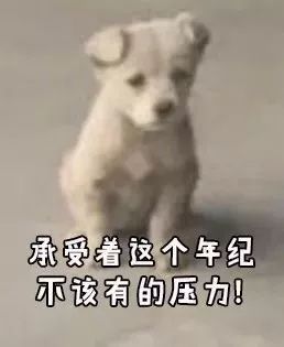 这个"内有恶犬,咬伤不负责"的警示牌,好像贴早了?