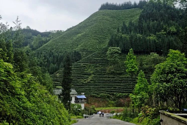 孟沟村人口_孟庄镇郑屯人口(3)