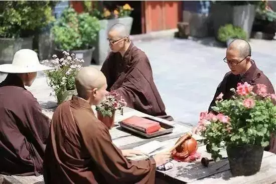 中国最美的尼姑庵,不烧香只种花,看一眼就想出家!