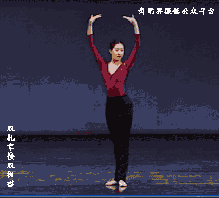 中国古典舞身韵基本元素动态教材
